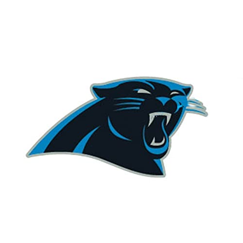 NFL Carolina Panthers Earrings Post