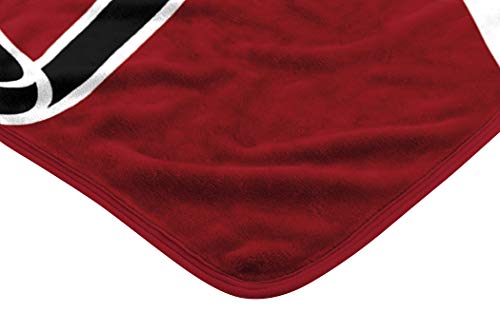 NFL Atlanta Falcons Raschel Throw Blanket, 60" x 80", Slant