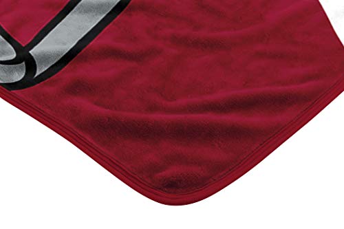 NFL Arizona Cardinals Unisex-Adult Raschel Throw Blanket, 60" x 80", Slant