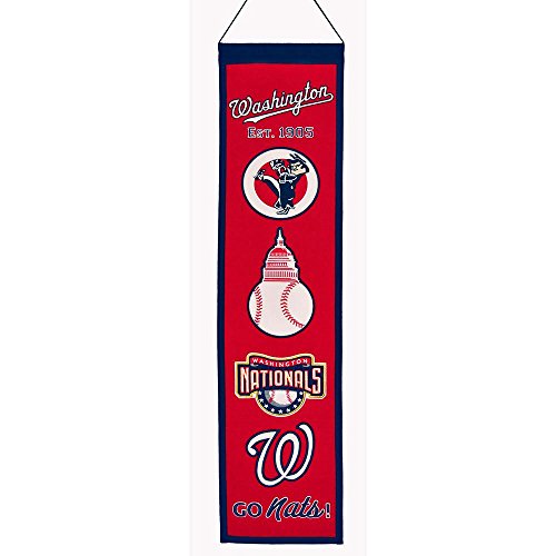 Washington Nationals MLB Heritage Banner OS