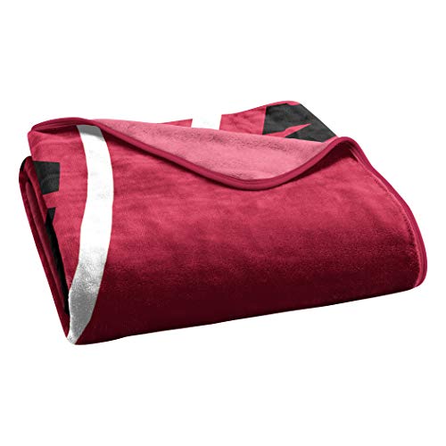 NFL Arizona Cardinals Unisex-Adult Raschel Throw Blanket, 60" x 80", Slant