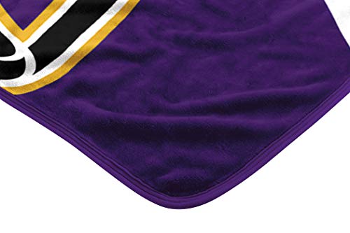 NFL Minnesota Vikings Raschel Throw Blanket, 60" x 80", Slant