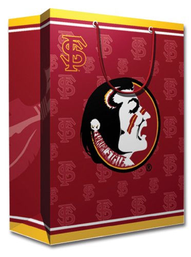 NCAA Florida State Seminoles Gift Bag, Medium M M