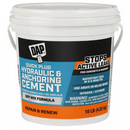 DAP Quick Plug 10 lb. Hydraulic Cement 7079814090