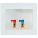 IPS Corporation Du-All 1/4-Turn Dual-Drain CPVC Washing Machine Supply Box, Cont