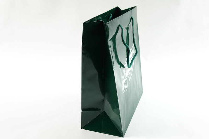 NFL Philadelphia Eagles Gift Bag, Elegant Green